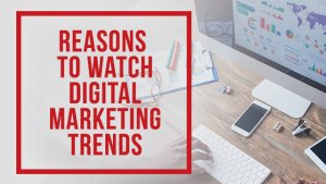 Digital marketing trends